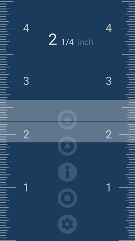 Microsys Micro Ruler